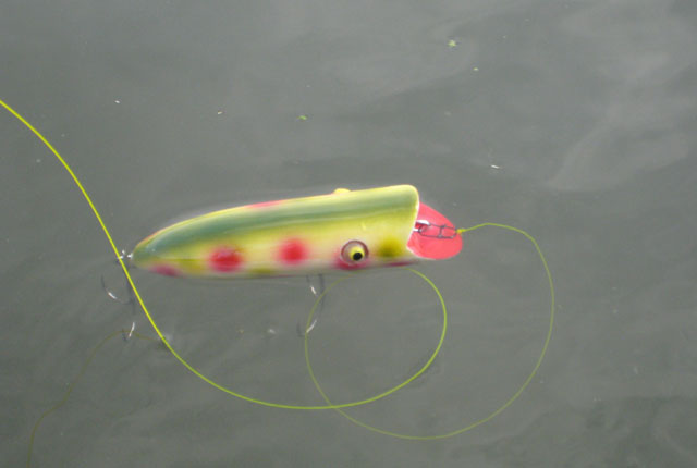 ノーウェイトダーター（1）: 水面で創るトップウォーターライフ